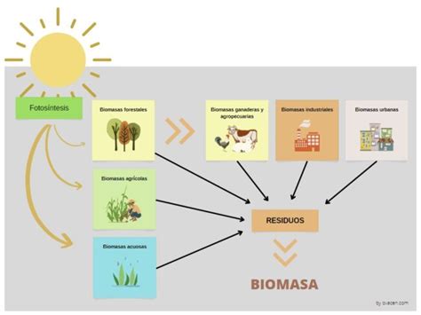 Energía biomasa Qué es cómo se obtiene y ventajas OVACEN