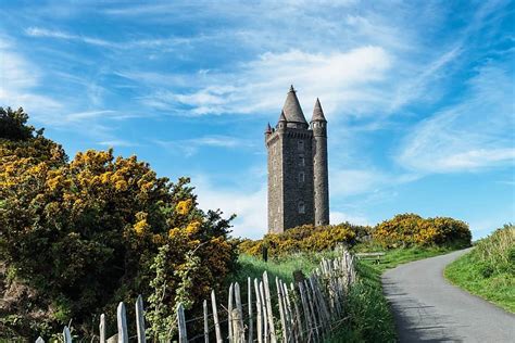 Scrabo Tower - Ireland Highlights