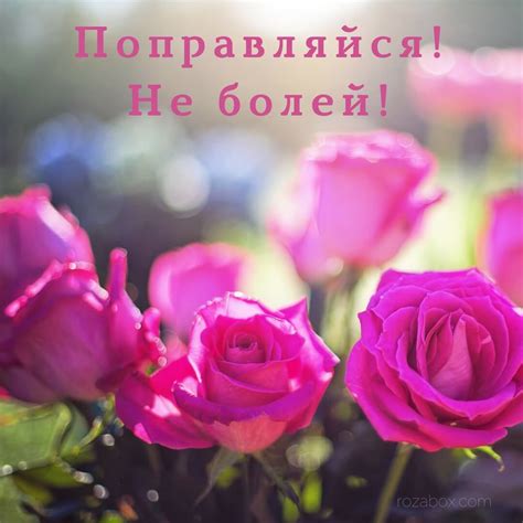 Открытки Не болей - RozaBox.com
