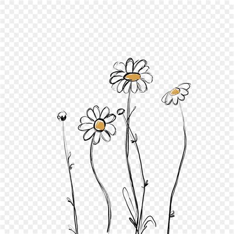 Flowers Vector Drawing Png Flower Drawing Simple Flower Drawing Porn