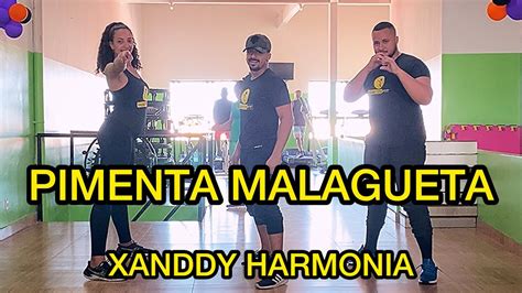 Pimenta Malagueta Xanddy Harmonia Dan A H Bitos Fit Coreografia