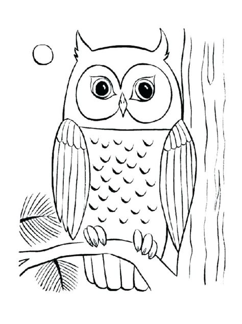 Baby Owl Coloring Pages At Free Printable Colorings