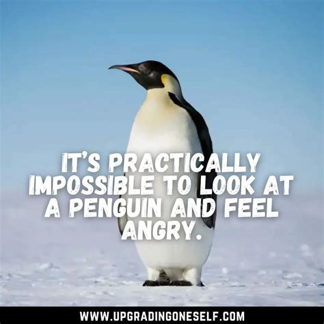 Top 15 Cool Quotes About Penguin That Will Make You Cheerful