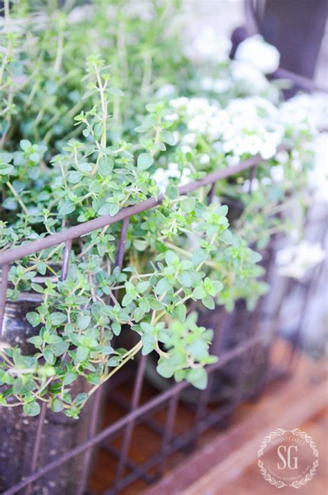 Mason Jar Herb Garden Stonegable