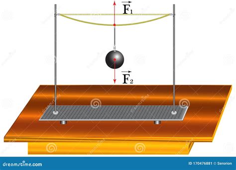 Physical Experiment Demonstrating the Effect of Elasticity Stock Vector ...