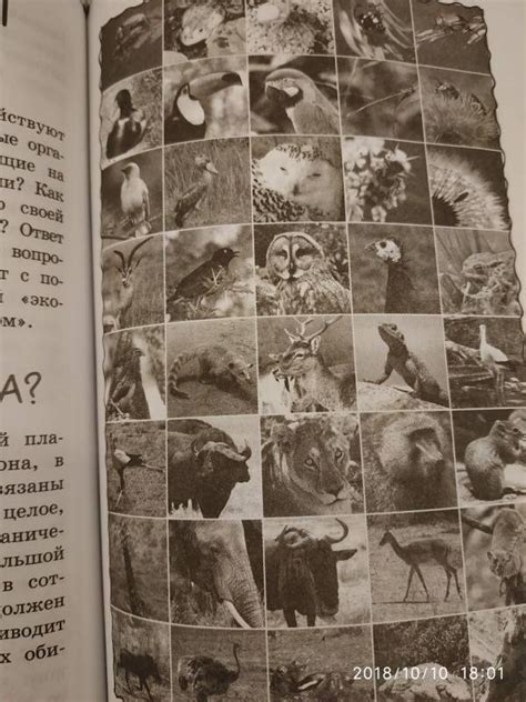 Книга: Биология - Любовь Вайткене. Купить книгу, читать рецензии | Лабиринт