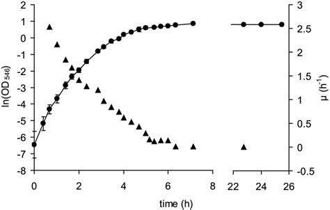 Growth curve of E . coli K-12 MG1655 in LB batch culture (shaken ...