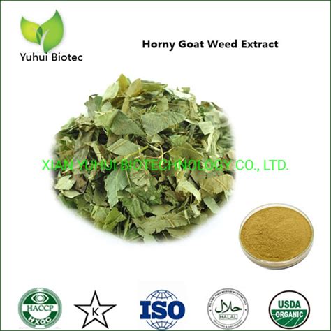 Horny Goat Weed Extract For Low Libido And Erectile Dysfunction China