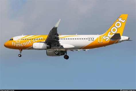 V Trn Scoot Airbus A Wl Photo By Dorlok Id