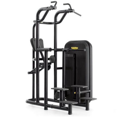 Technogym Kneeling Easy Chin Dip Grays Fitness