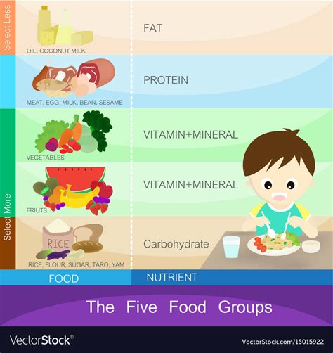 Five Food Groups Royalty Free Vector Image Vectorstock