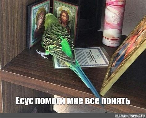 Create Meme Parrot Jesus Jesus Parrot Pictures Meme Arsenal