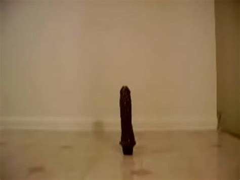 Twerkin On A Dildo 1 MYBLACKPORNO FREE BLACK EBONY AMATEUR PORN XVIDEOS