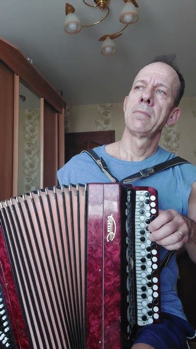 Продаётся баян Этюд 205м - YouTube