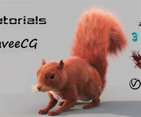 Artstation Squirrel Video Tutorials Tutorials