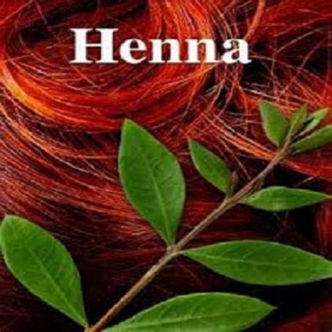 Dark Brown Henna Hair Color at Rs 180/kg | Brown Henna Hair Color in ...