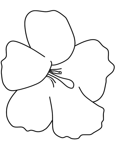 Hibiscus Flower Coloring Pages - Flower Coloring Page