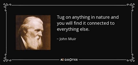 John Muir quote: Tug on anything in nature and you will find it...