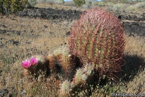 Mojave National Preserve Camping | Hikespeak.com