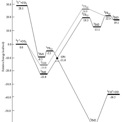 Potential Energy Surface Profiles For The Reaction Of A Y Atom With