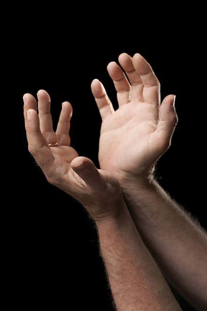 20+ Exhorting Stock Photos, Pictures & Royalty-Free Images - iStock