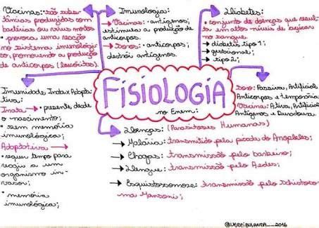 Fisiologia Humana Mapa Mental