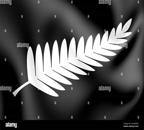 3d Silver Fern Flag Black Ensign Flag Of New Zealand 3d