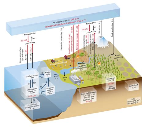 carbon geosciences libretexts
