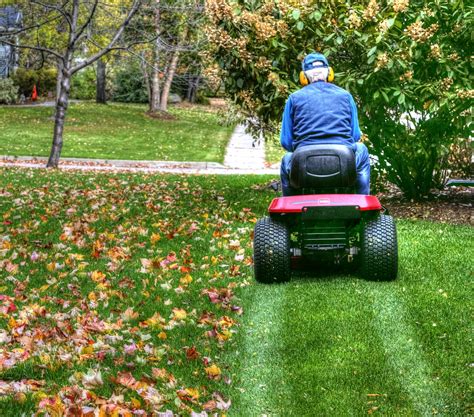 Mulching Lawn Mower Leaves Clumps at Geraldine Raposo blog