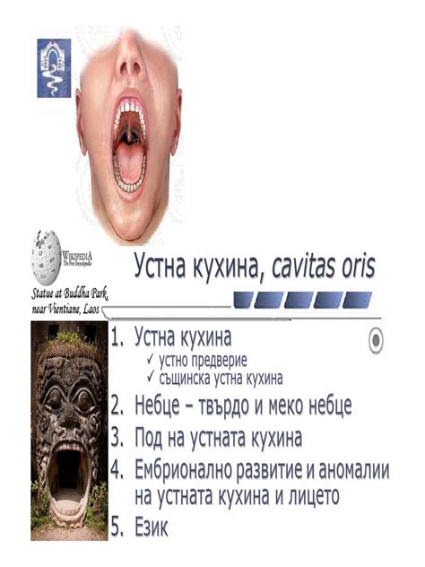 Устна кухина | PDF