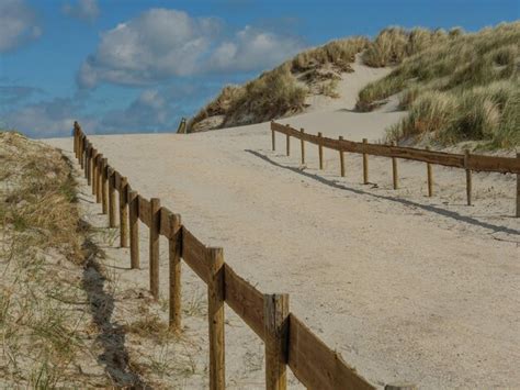 premium photo  island  ameland   netherlands