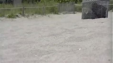 Micro Pussy Videos XVIDEOS