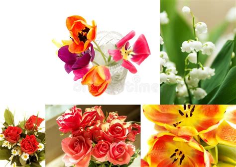 Variety of flowers stock photo. Image of colors, birthday - 42544288