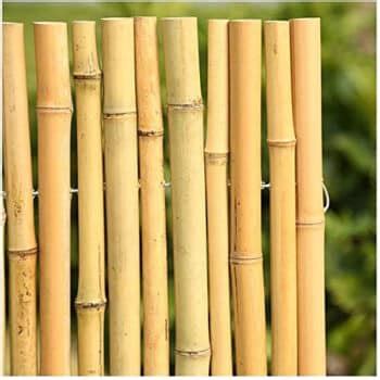 Top Best Bamboo Fencing In Reviews Buyer S Guide