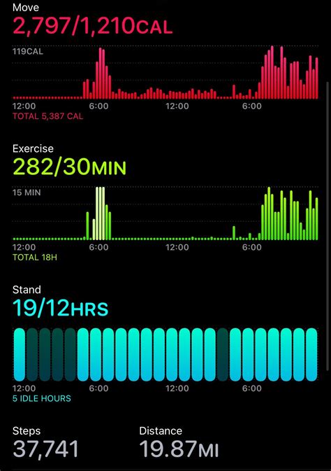 This what 6 hours of sober raving look like. From 6-12. : r/AppleWatch