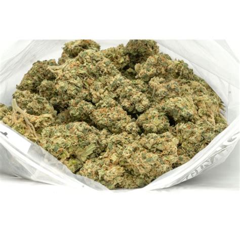 Cotton Candy Strain | A Tasty Hybrid by Weed Deals