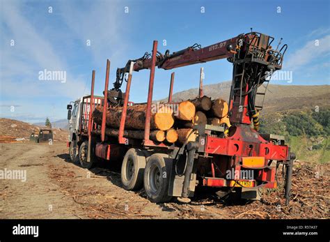 Attrezzatura Del Trasportatore Di Legname Immagini E Fotografie Stock