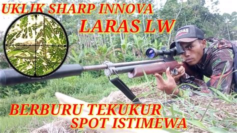 Uklik Sharp Innova Laras Lw Berburu Tekukur Cahyo Hunting Youtube