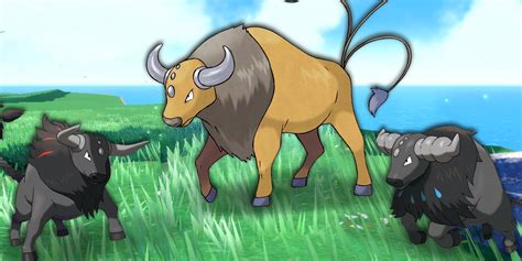 Pokemon Scarlet And Violets Tauros Variants Undermine Regional Forms