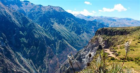 arequipa  day trekking   colca valley getyourguide
