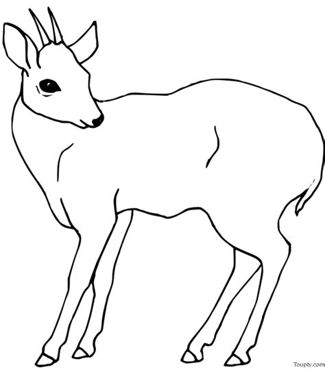 Coloriage Gratuit De Biche