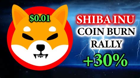 Shiba Inu Coin Burn Rally August Crypto News Youtube