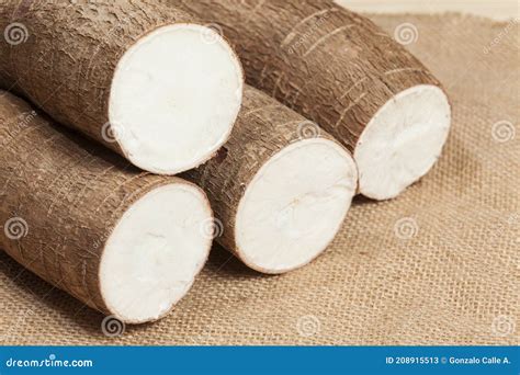 Manihot Esculenta Yuca Manioc Guacamota Cassava Raw Tuber Stock Image