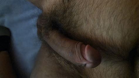 Rich Hairy Nude Pics XHamster