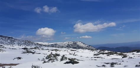 Mau tempo Estradas cortadas entre Cinfães Castro Daire e na Serra da