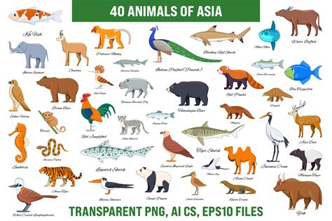 popular animal of asia 4