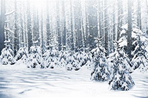 Winter. Snowfall. landscape 9960863 Stock Photo at Vecteezy