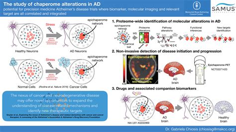 Epichaperomes In Neurodegenerative Diseases Sloan Kettering Institute