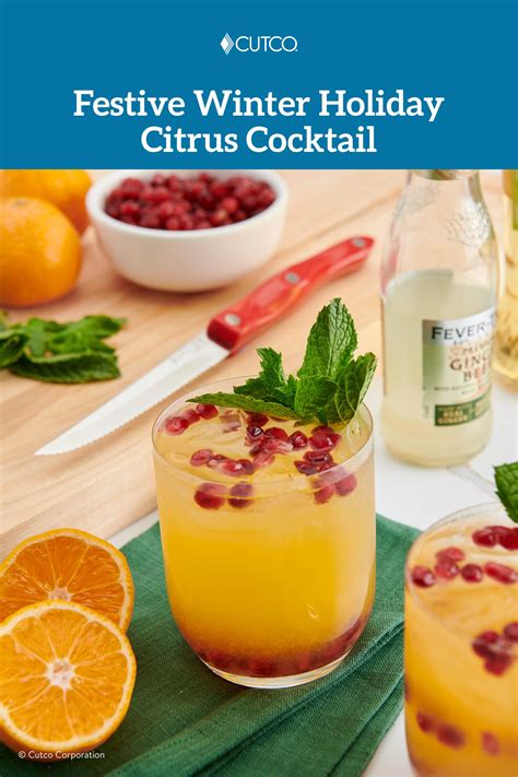 Festive Winter Holiday Citrus Cocktail