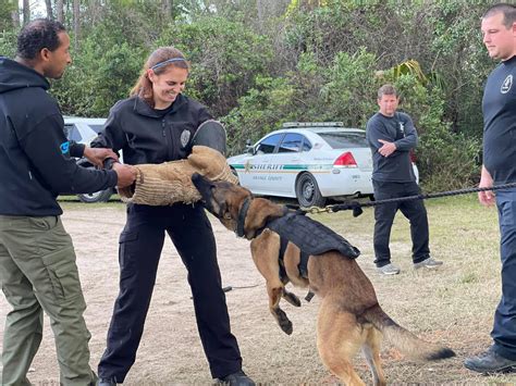Southern Coast K9 | K9 Partners for Law Enforcement & Security